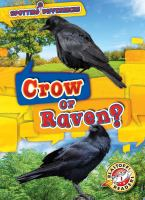 Crow_or_raven_